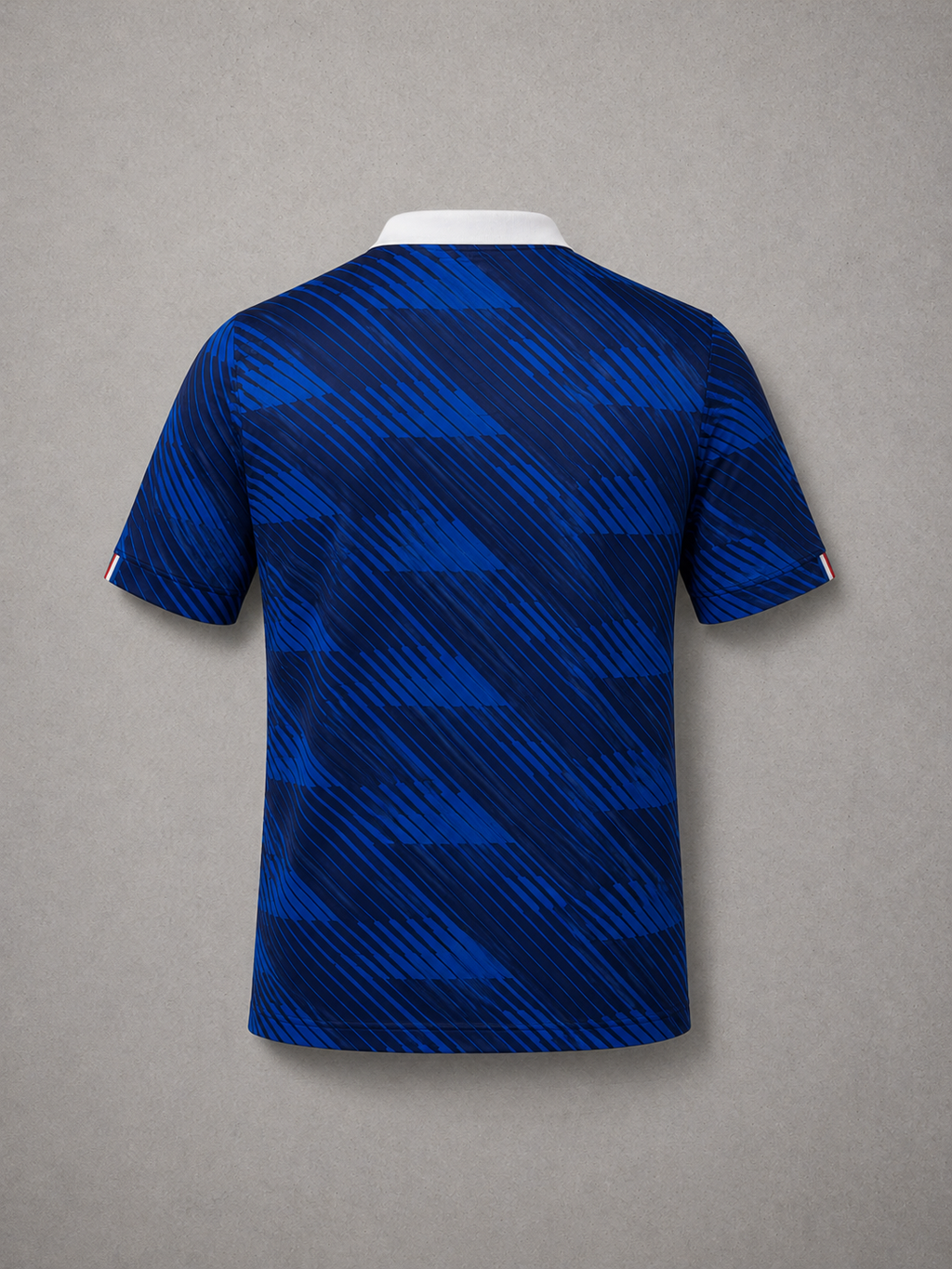 FRANCE V1